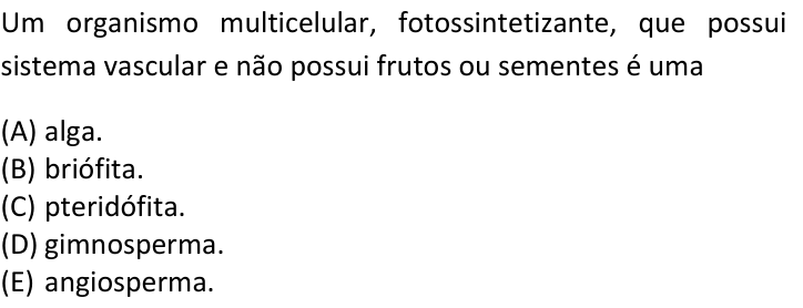 Questão 28 no caderno  da FUVEST 2019