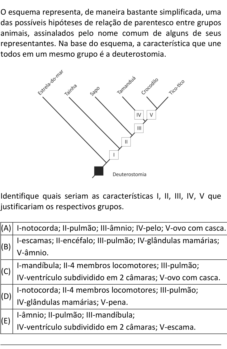 Questão 32 no caderno  da FUVEST 2019