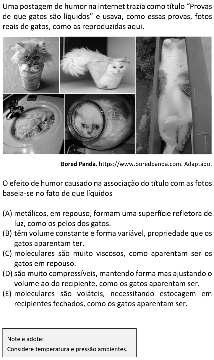 Questão 43 no caderno  da FUVEST 2019