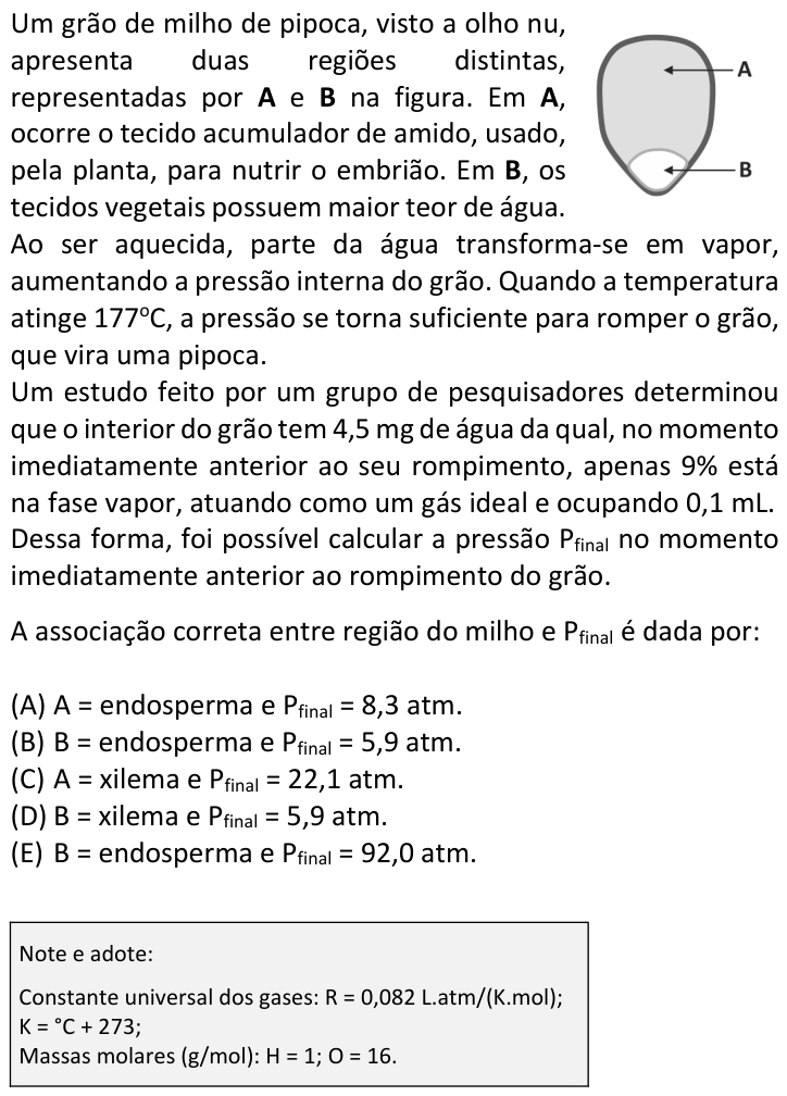 Questão 45 no caderno  da FUVEST 2019