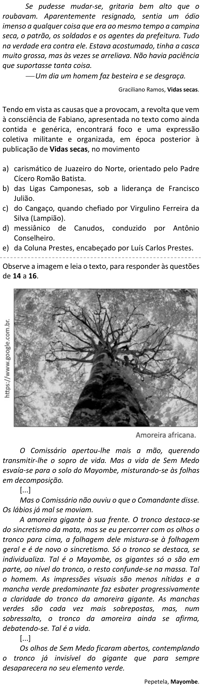 Questão 13 no caderno  da FUVEST 2017