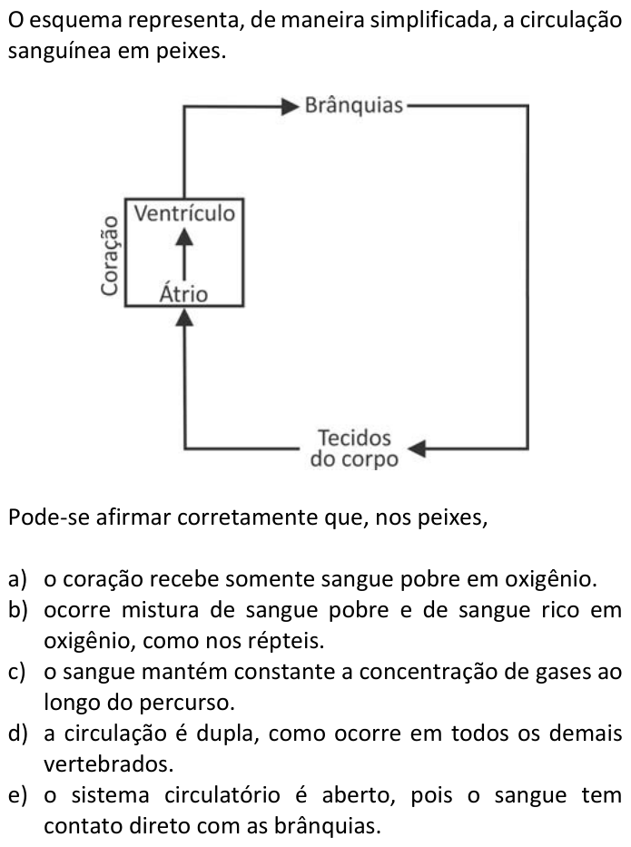 Questão 56 no caderno  da FUVEST 2017