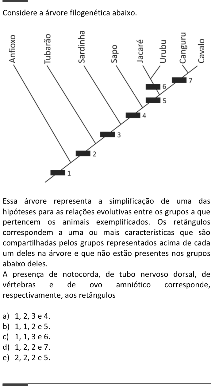 Questão 84 no caderno  da FUVEST 2015