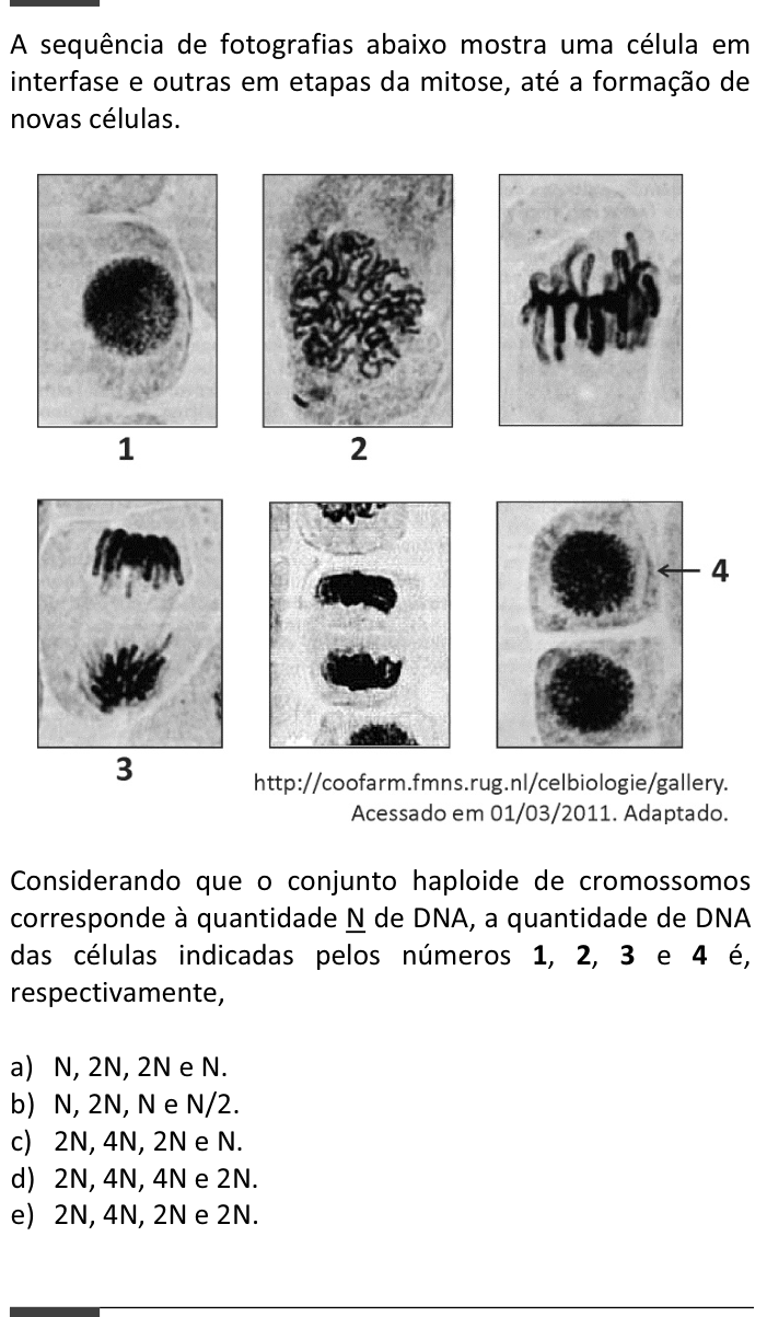 Questão 1 no caderno  da FUVEST 2014