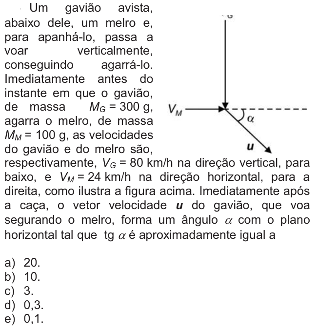 Questão 14 no caderno  da FUVEST 2011