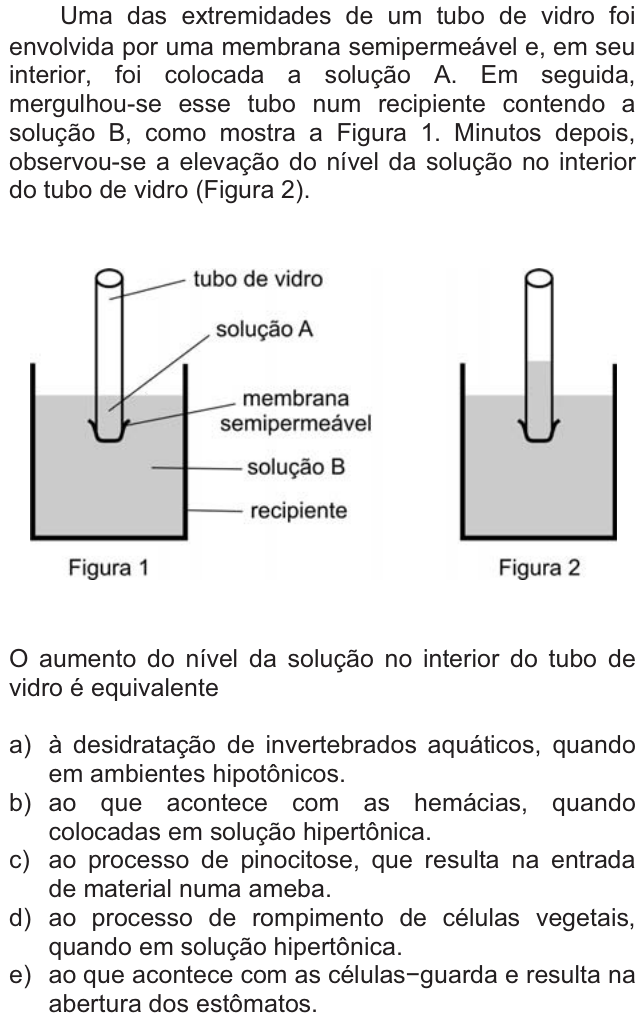 Questão 47 no caderno  da FUVEST 2011