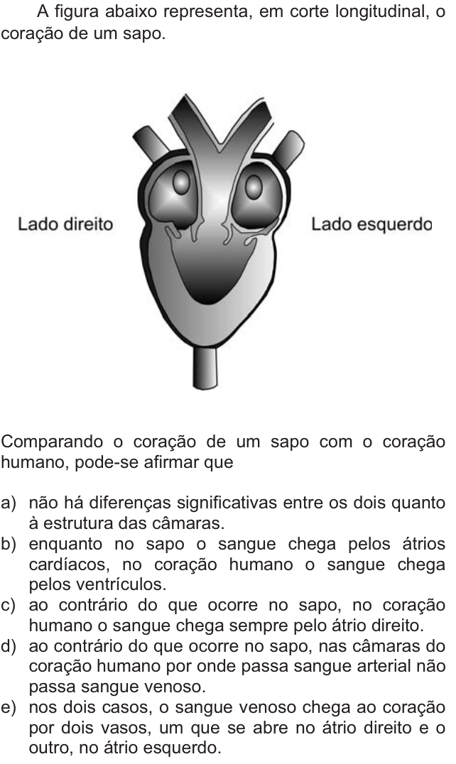 Questão 49 no caderno  da FUVEST 2011