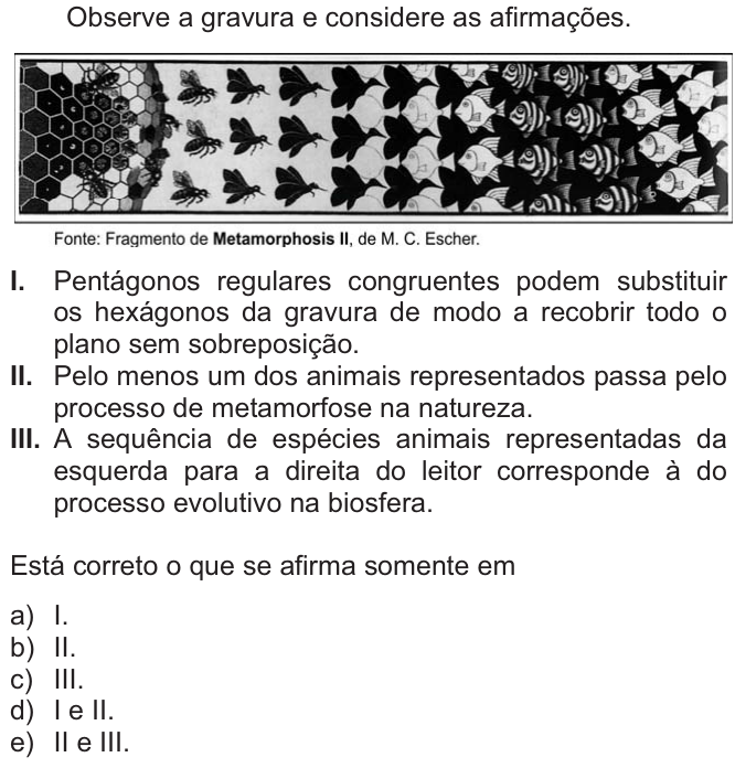 Questão 3 no caderno  da FUVEST 2010