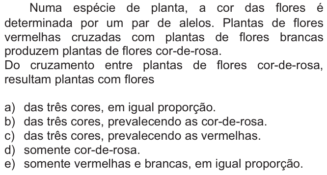 Questão 58 no caderno  da FUVEST 2010