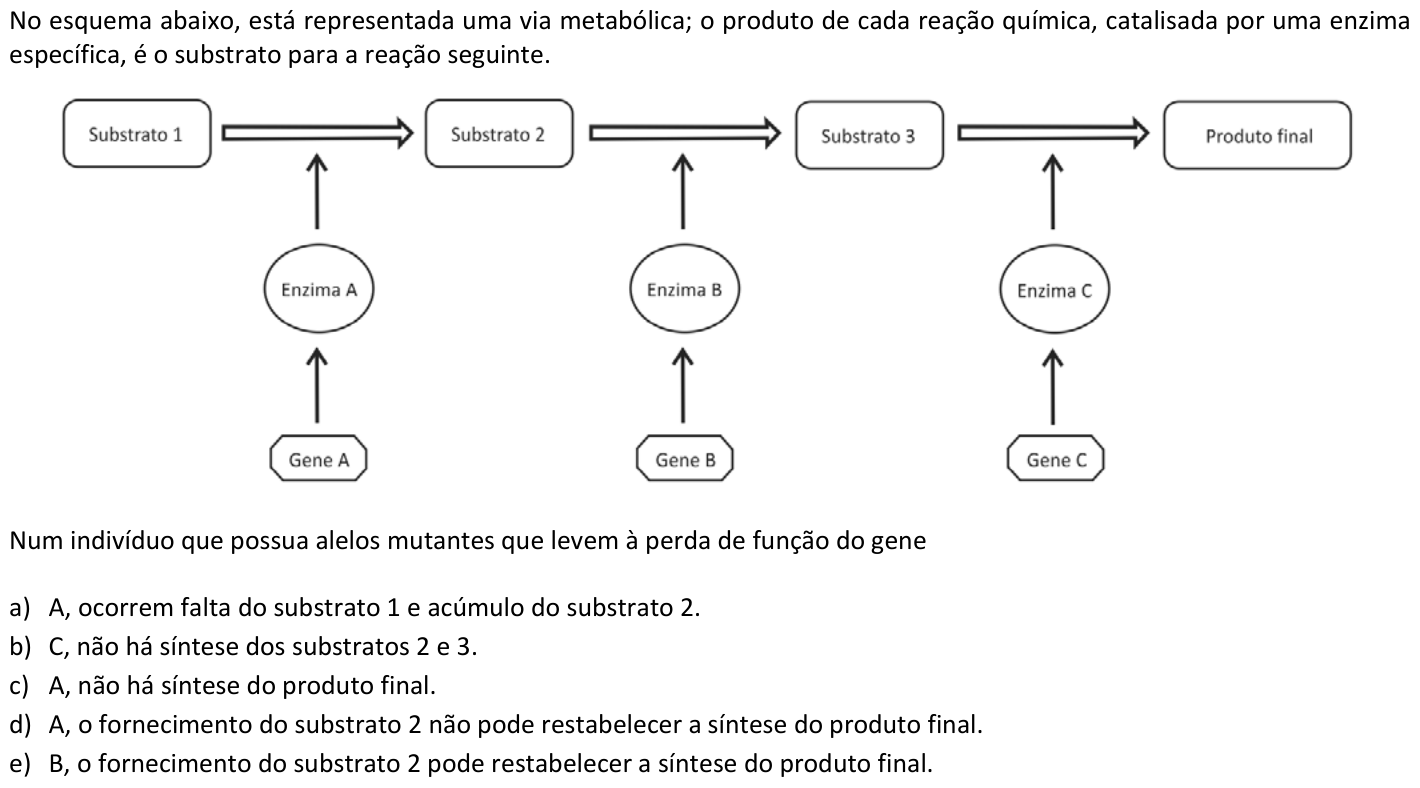 Questão 36 no caderno  da FUVEST 2016