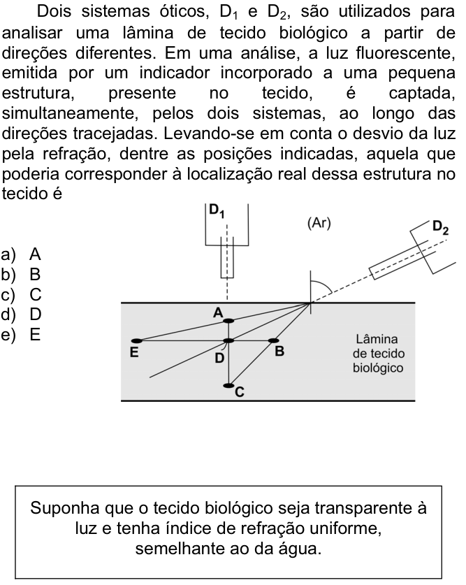 Questão 87 no caderno  da FUVEST 2009