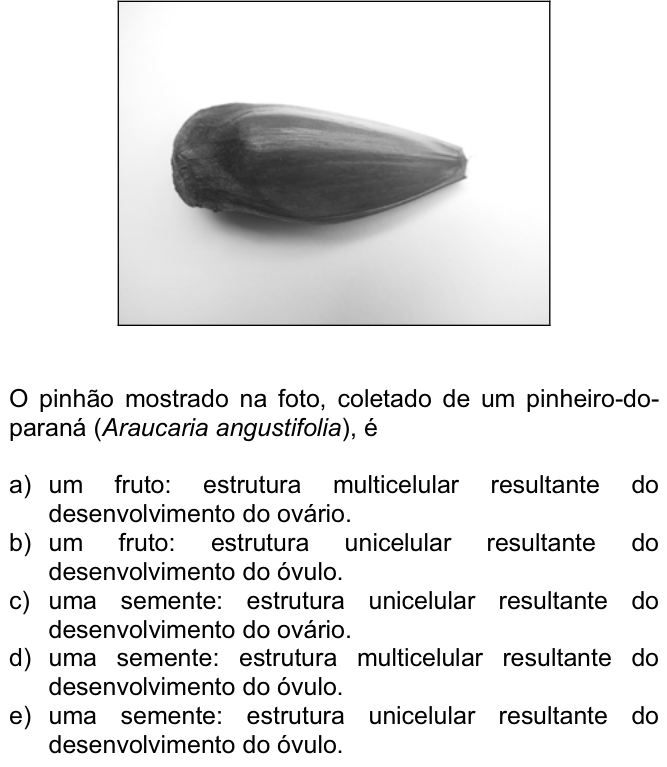 Questão 84 no caderno  da FUVEST 2007