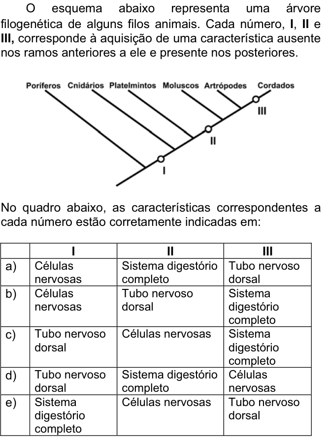 Questão 87 no caderno  da FUVEST 2007