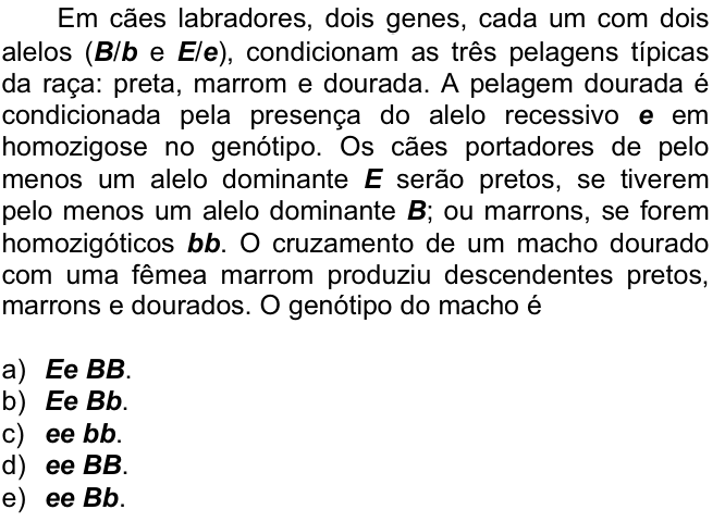 Questão 88 no caderno  da FUVEST 2007