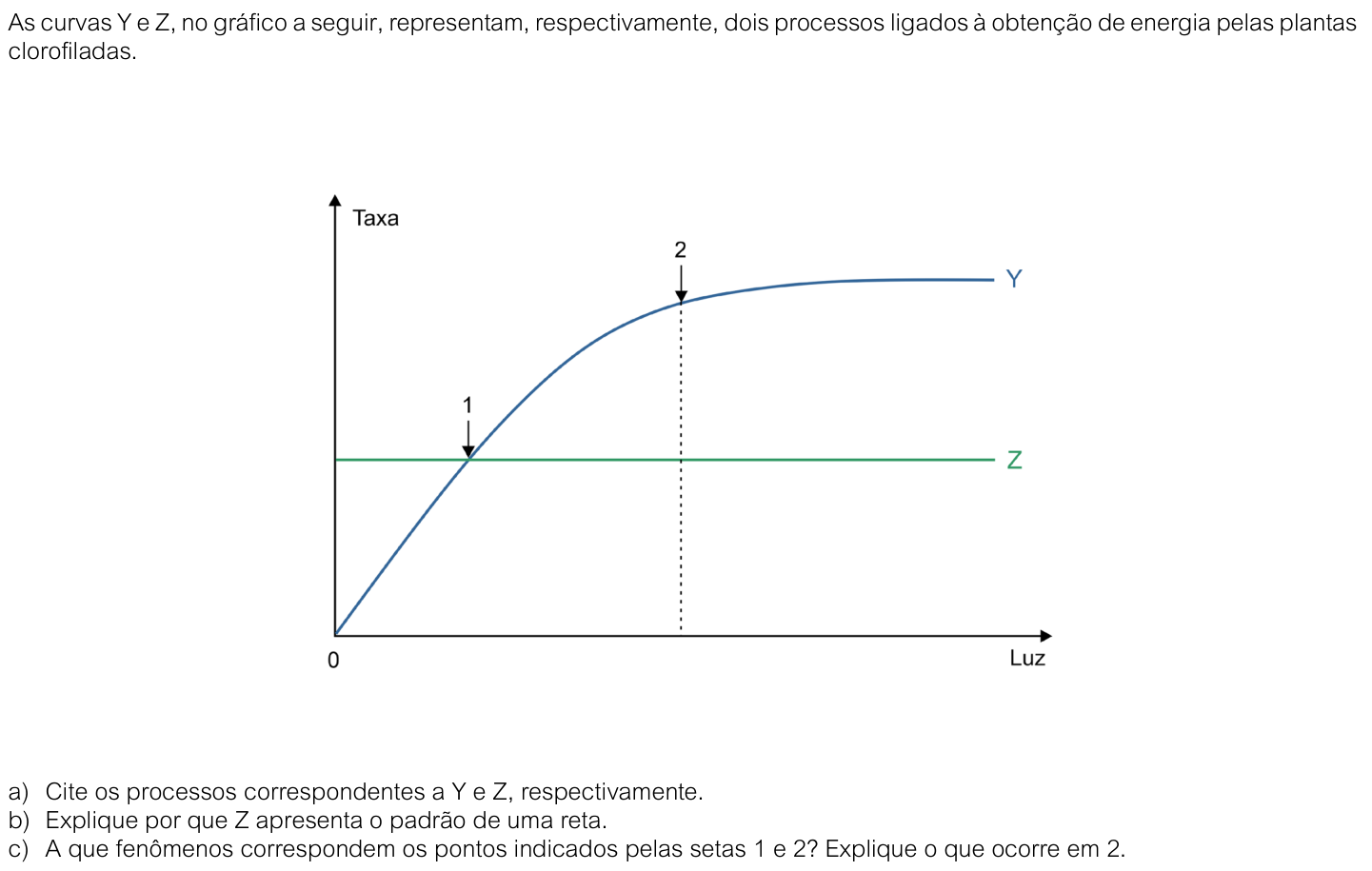 Questão B04 no caderno  da 2ª fase da FUVEST 2026