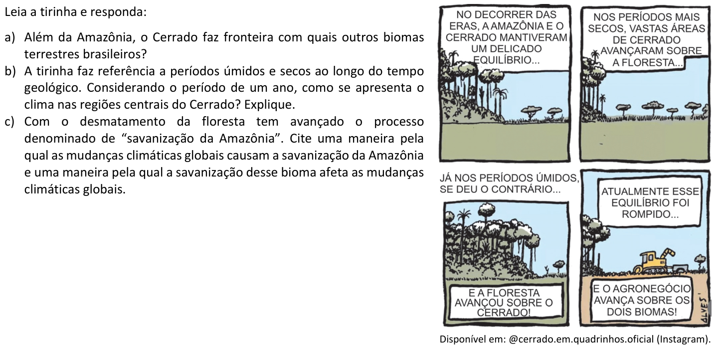Questão B02 no caderno  da 2ª fase da FUVEST 2025