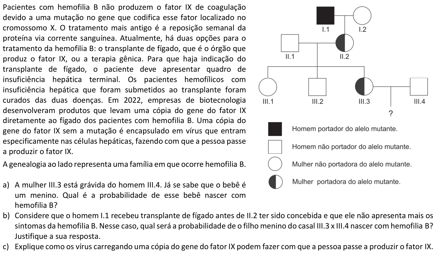 Questão B03 no caderno  da 2ª fase da FUVEST 2025