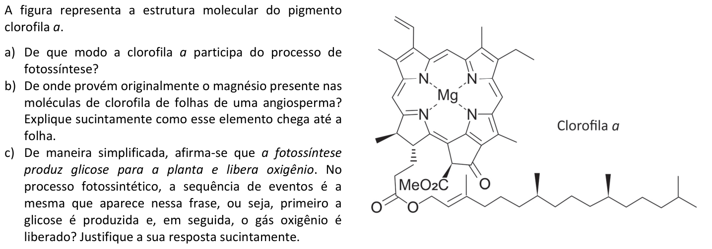 Questão B06 no caderno  da 2ª fase da FUVEST 2025