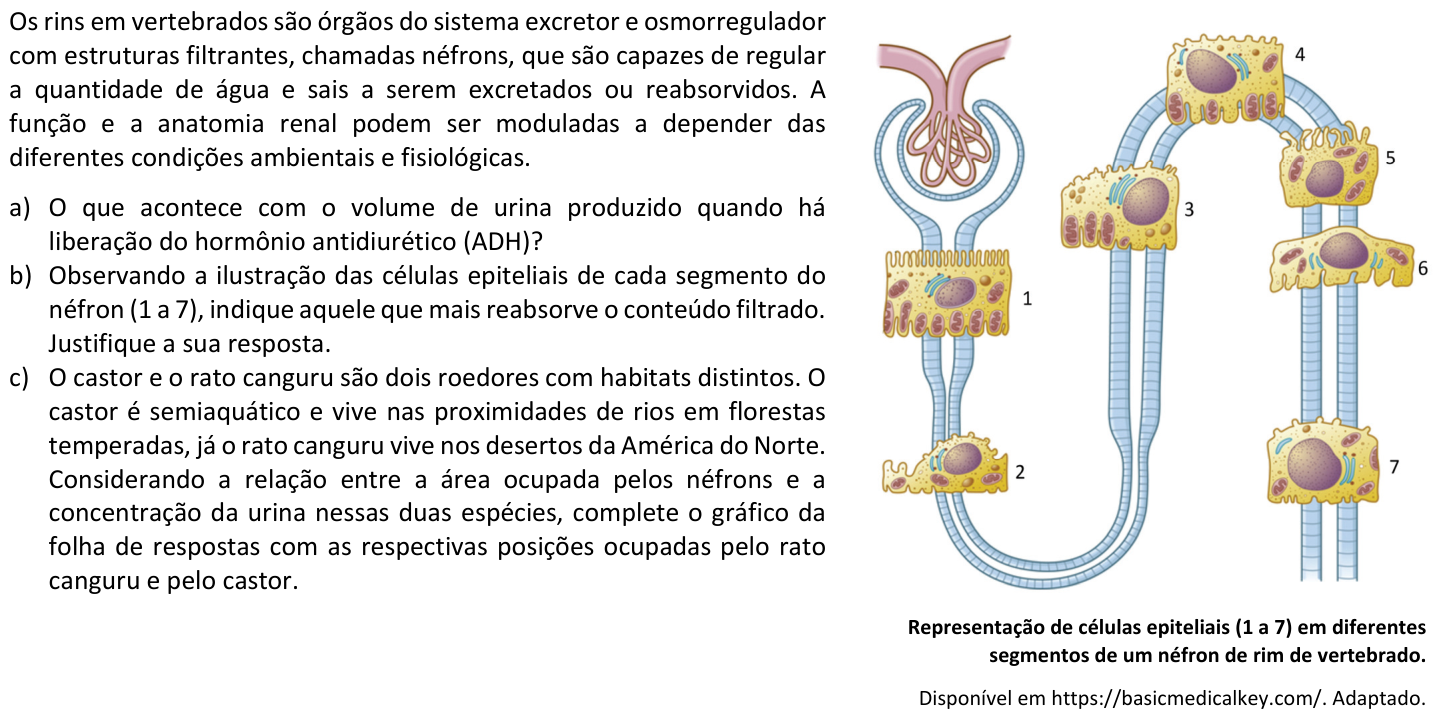 Questão B02 no caderno  da 2ª fase da FUVEST 2023