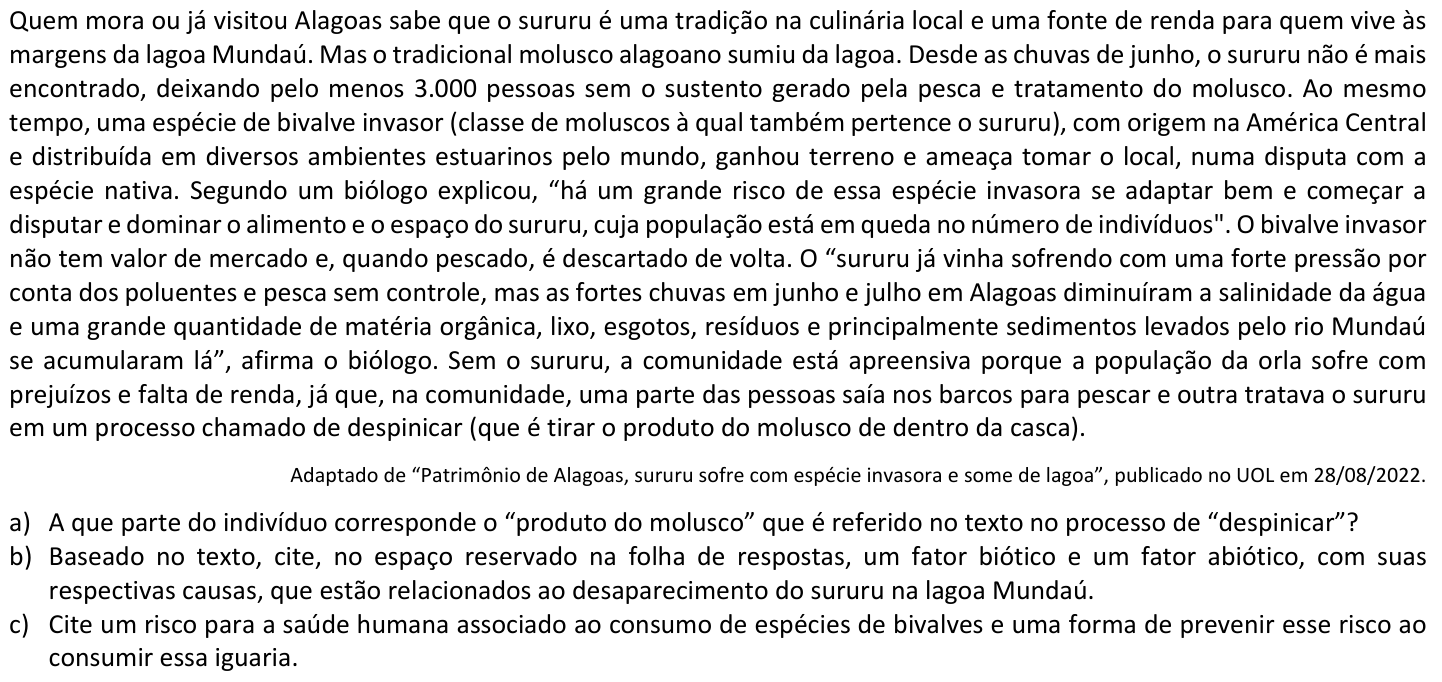 Questão B06 no caderno  da 2ª fase da FUVEST 2023