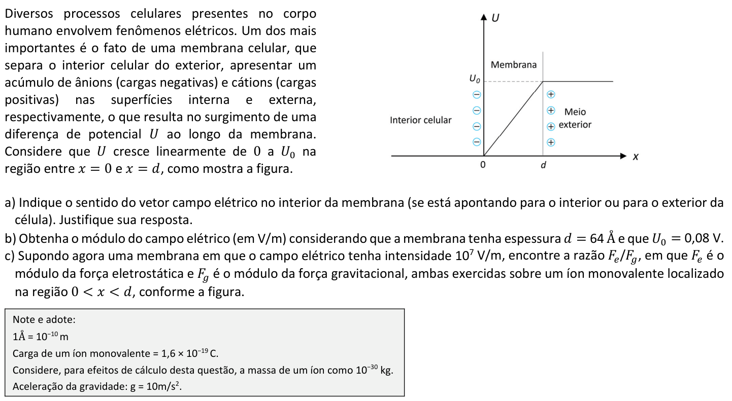 Questão F01 no caderno  da 2ª fase da FUVEST 2022