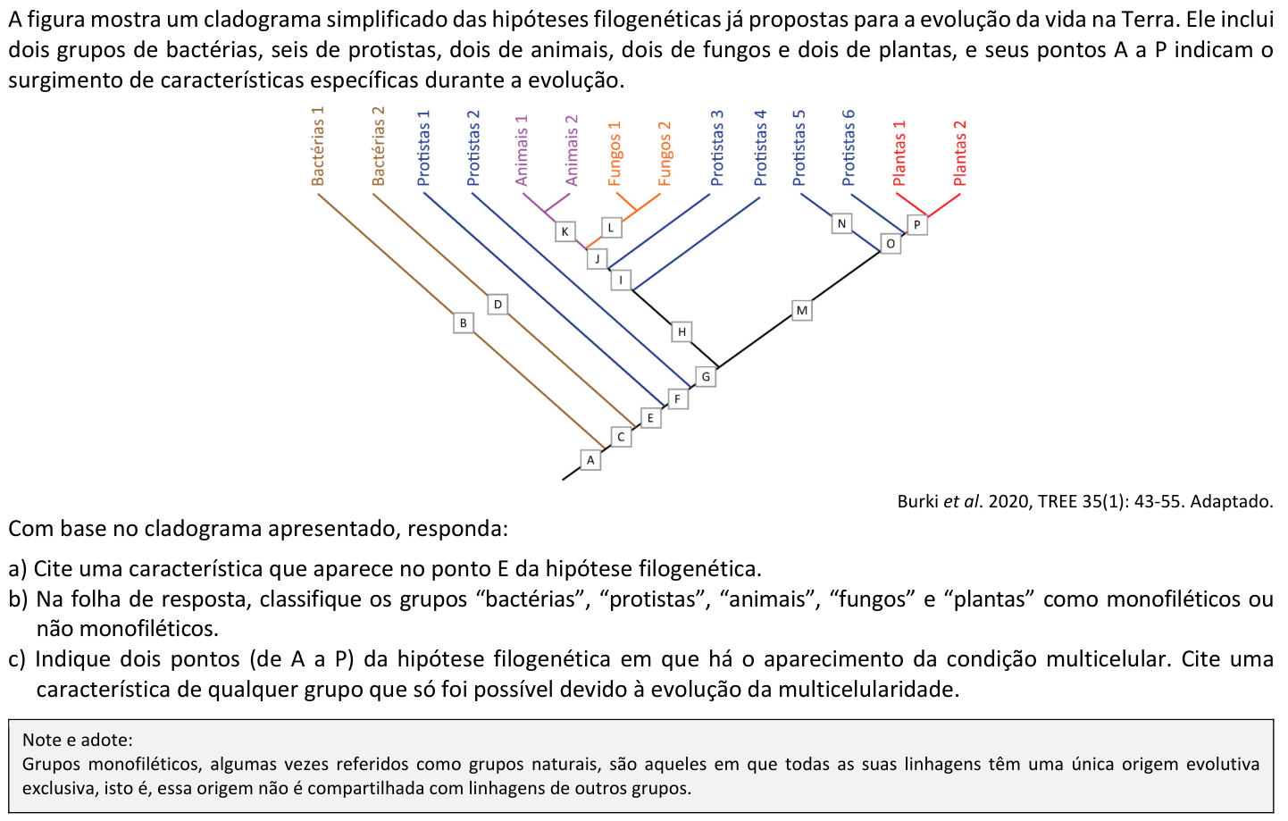 Questão B02 no caderno  da 2ª fase da FUVEST 2022