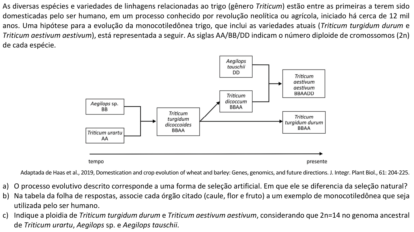 Questão B06 no caderno  da 2ª fase da FUVEST 2021