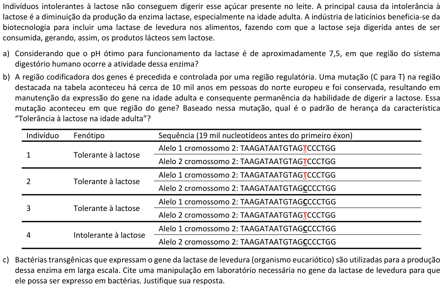 Questão B01 no caderno  da 2ª fase da FUVEST 2020