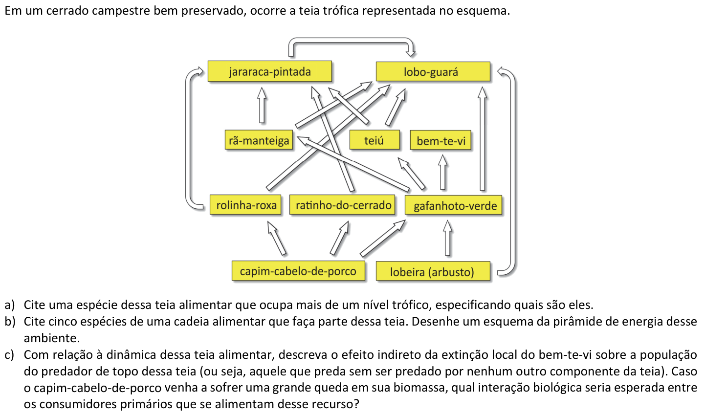 Questão B02 no caderno  da 2ª fase da FUVEST 2020