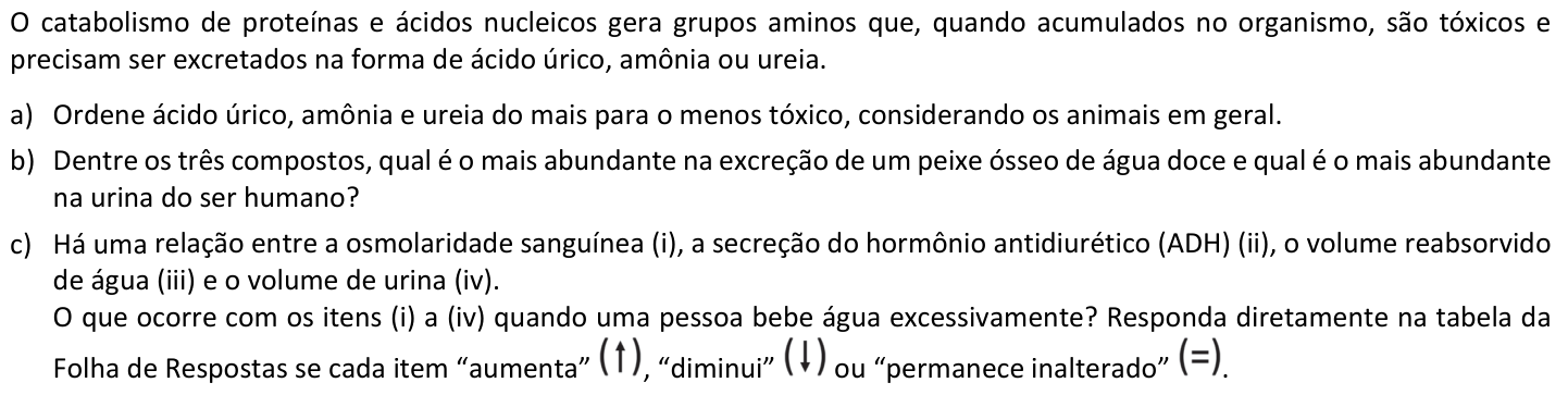 Questão B03 no caderno  da 2ª fase da FUVEST 2020