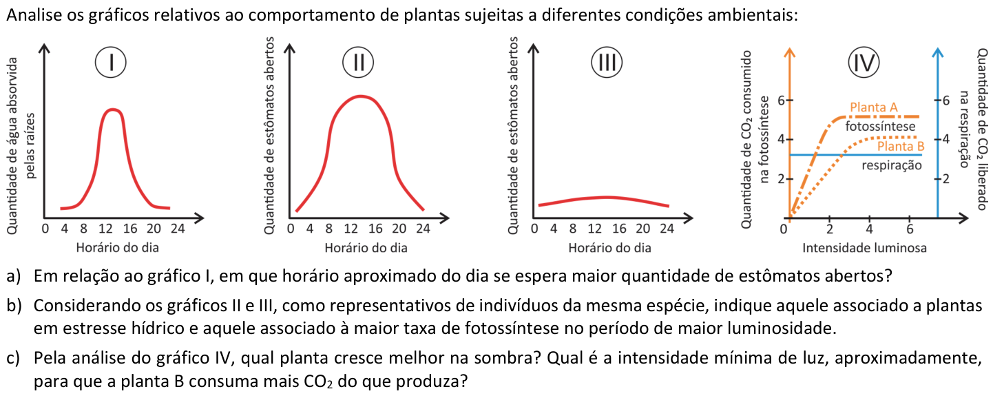 Questão B04 no caderno  da 2ª fase da FUVEST 2020