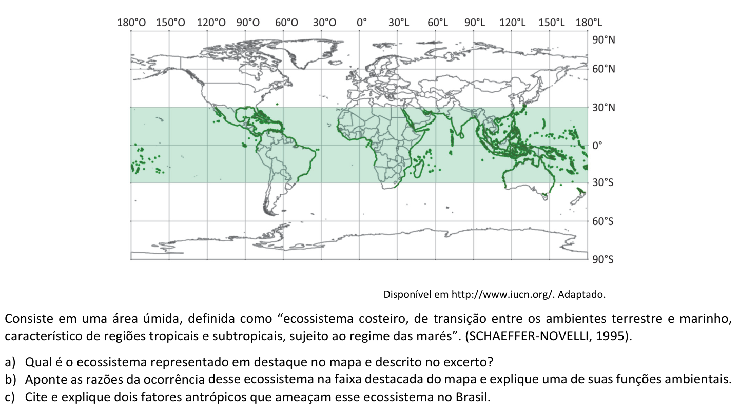 Questão G03 no caderno  da 2ª fase da FUVEST 2020