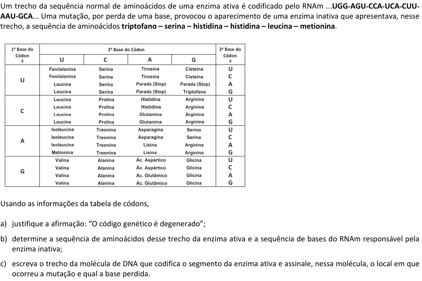 Questão B03 no caderno  da 2ª fase da FUVEST 2019