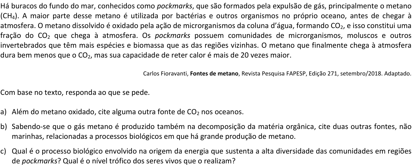 Questão B05 no caderno  da 2ª fase da FUVEST 2019