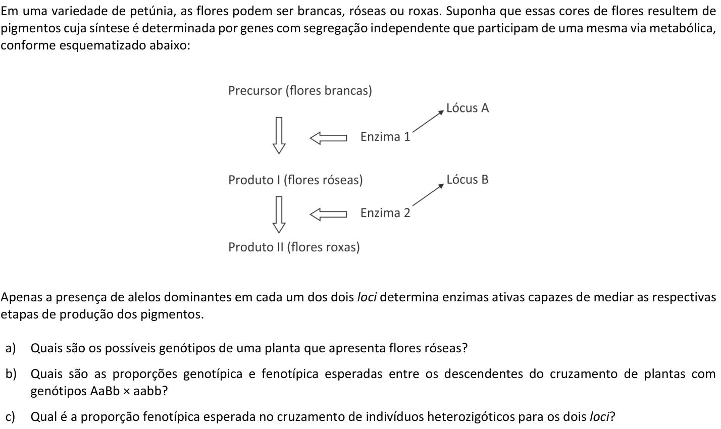 Questão B06 no caderno  da 2ª fase da FUVEST 2019