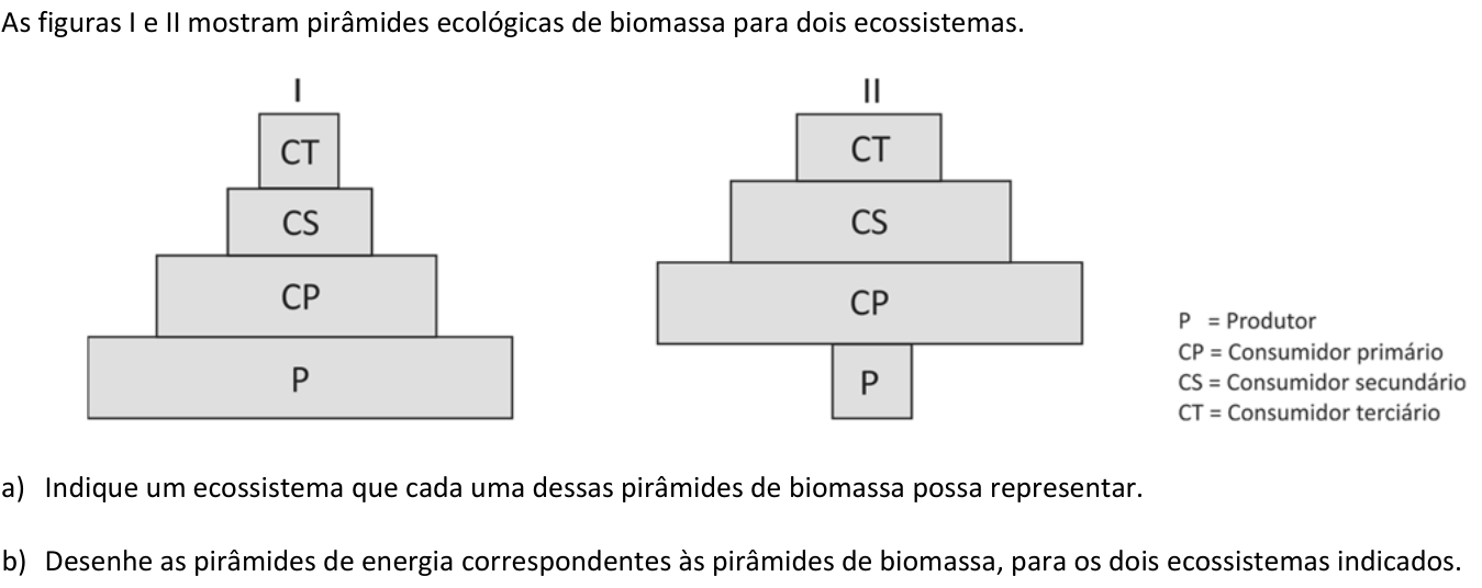 Questão B01 no caderno  da 2ª fase da FUVEST 2018
