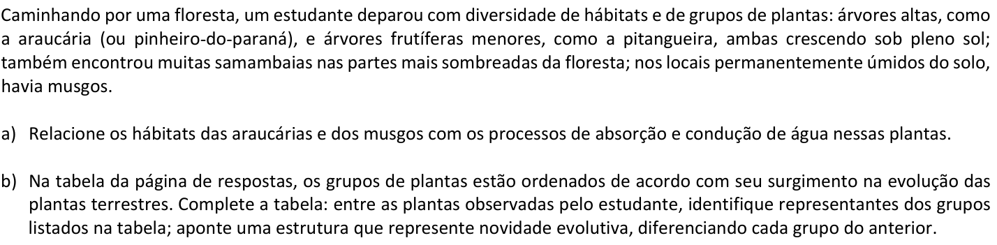 Questão B02 no caderno  da 2ª fase da FUVEST 2018