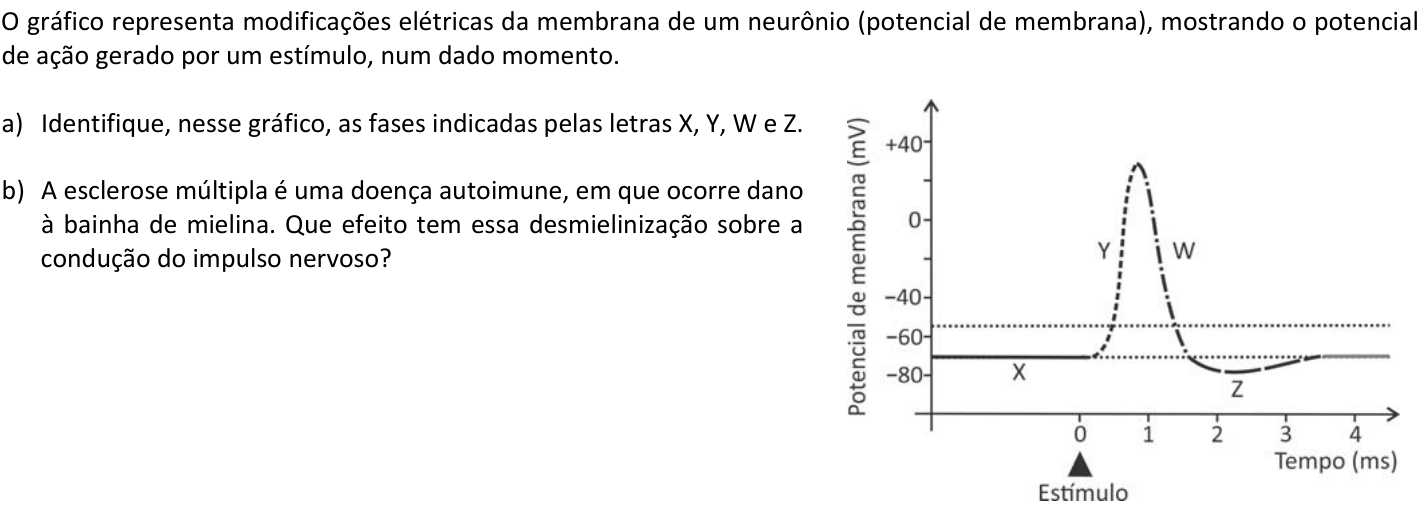Questão B06 no caderno  da 2ª fase da FUVEST 2018