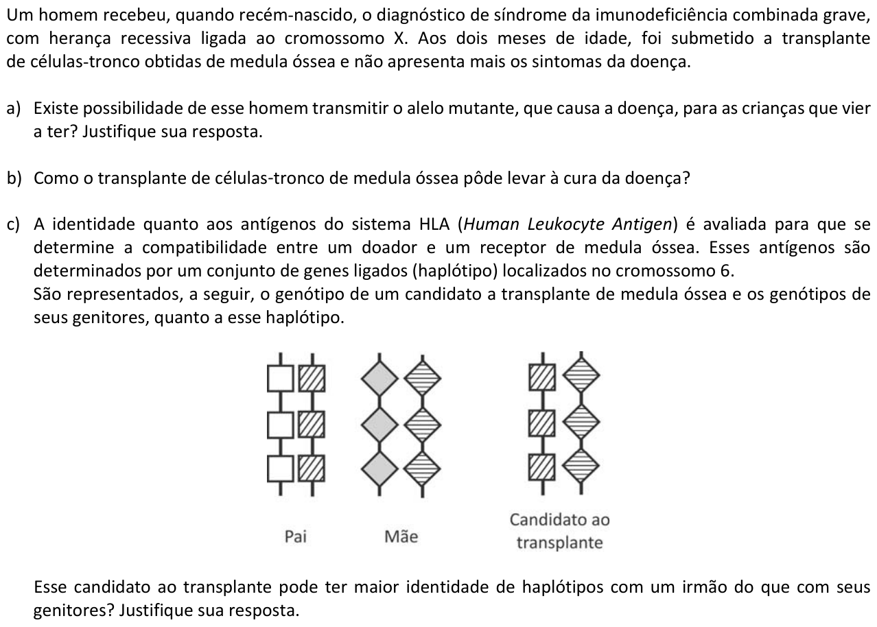 Questão B01 no caderno  da 2ª fase da FUVEST 2017