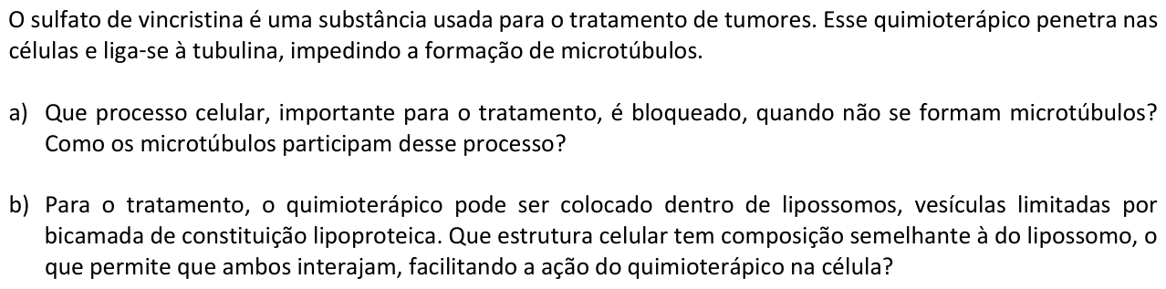 Questão B02 no caderno  da 2ª fase da FUVEST 2017