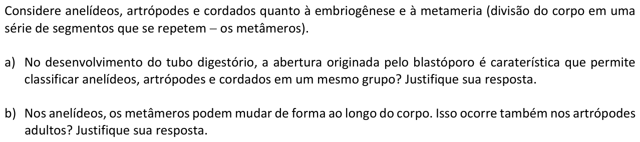Questão B04 no caderno  da 2ª fase da FUVEST 2017