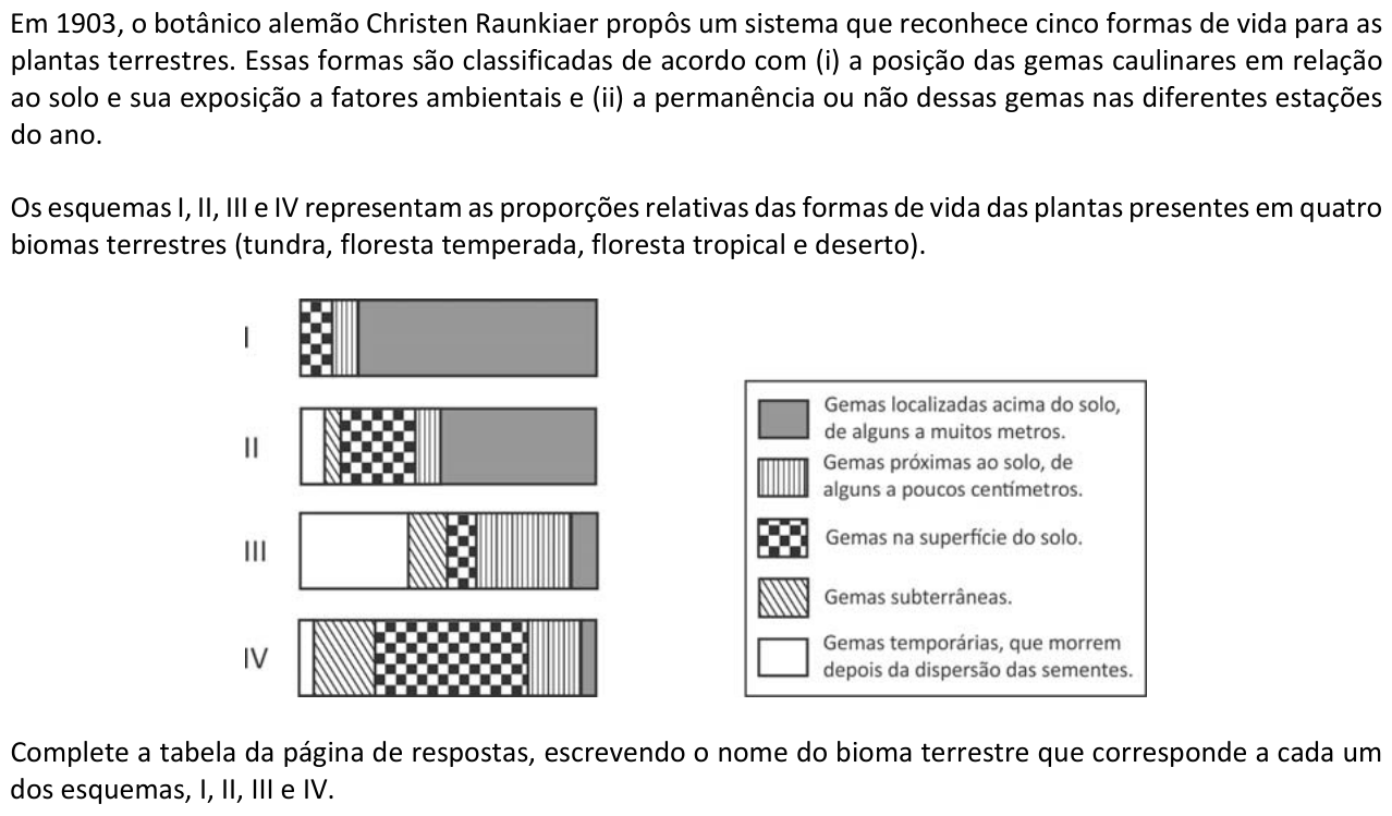 Questão B06 no caderno  da 2ª fase da FUVEST 2017