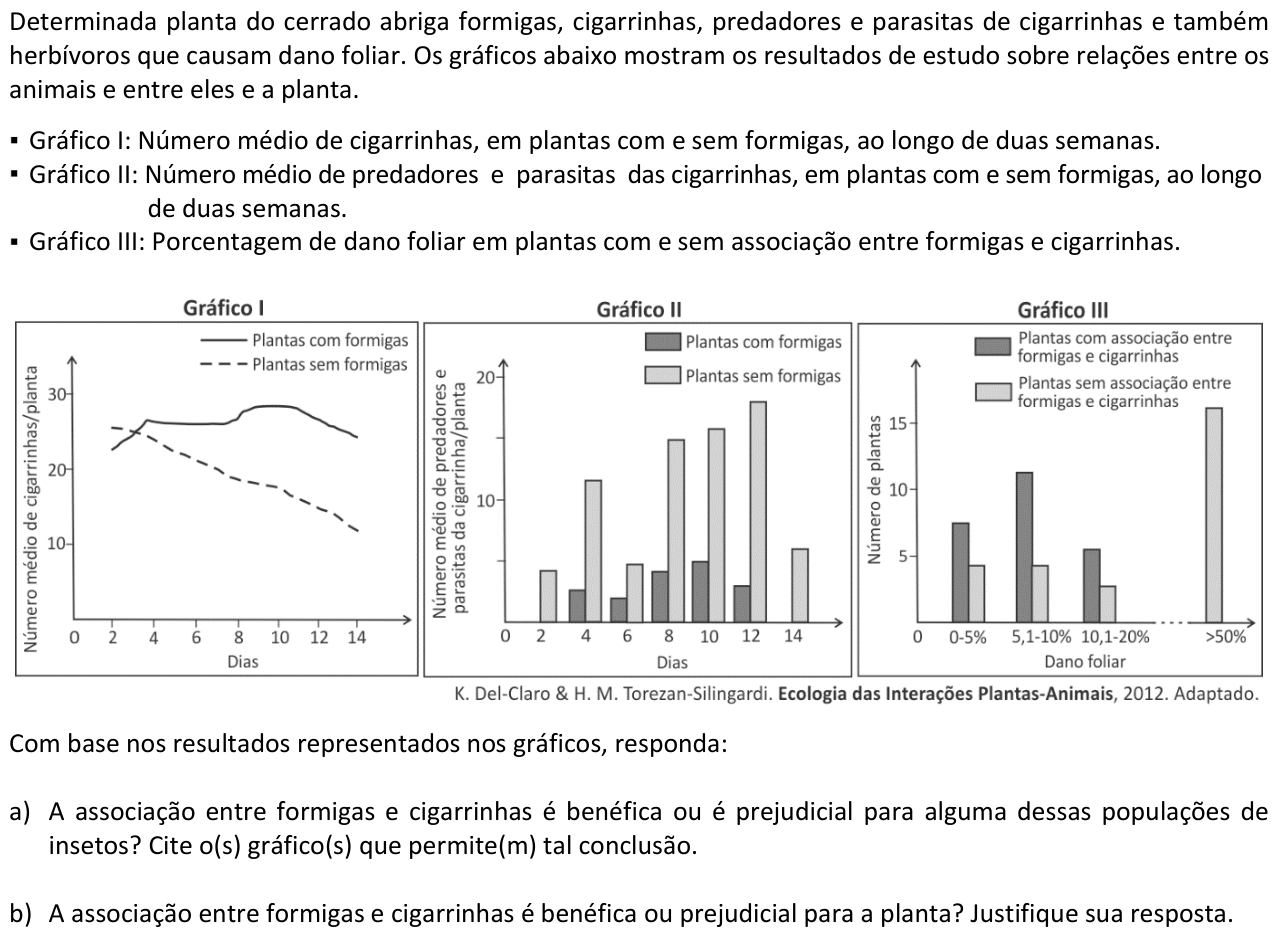 Questão B01 no caderno  da 2ª fase da FUVEST 2016