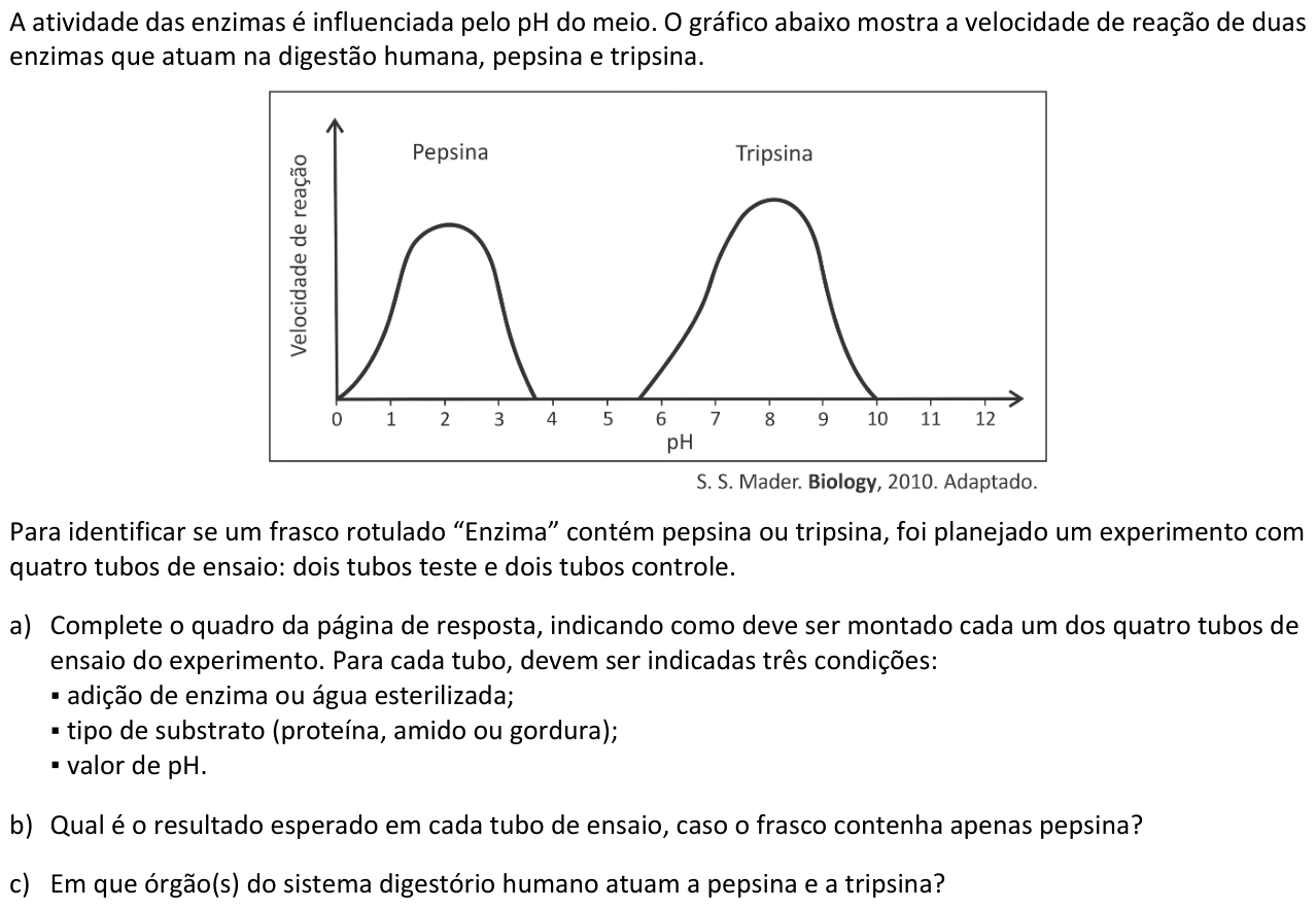 Questão B02 no caderno  da 2ª fase da FUVEST 2016