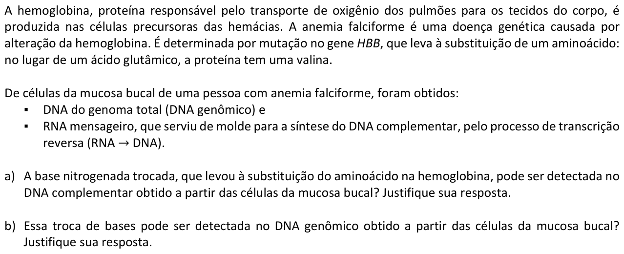Questão B04 no caderno  da 2ª fase da FUVEST 2016