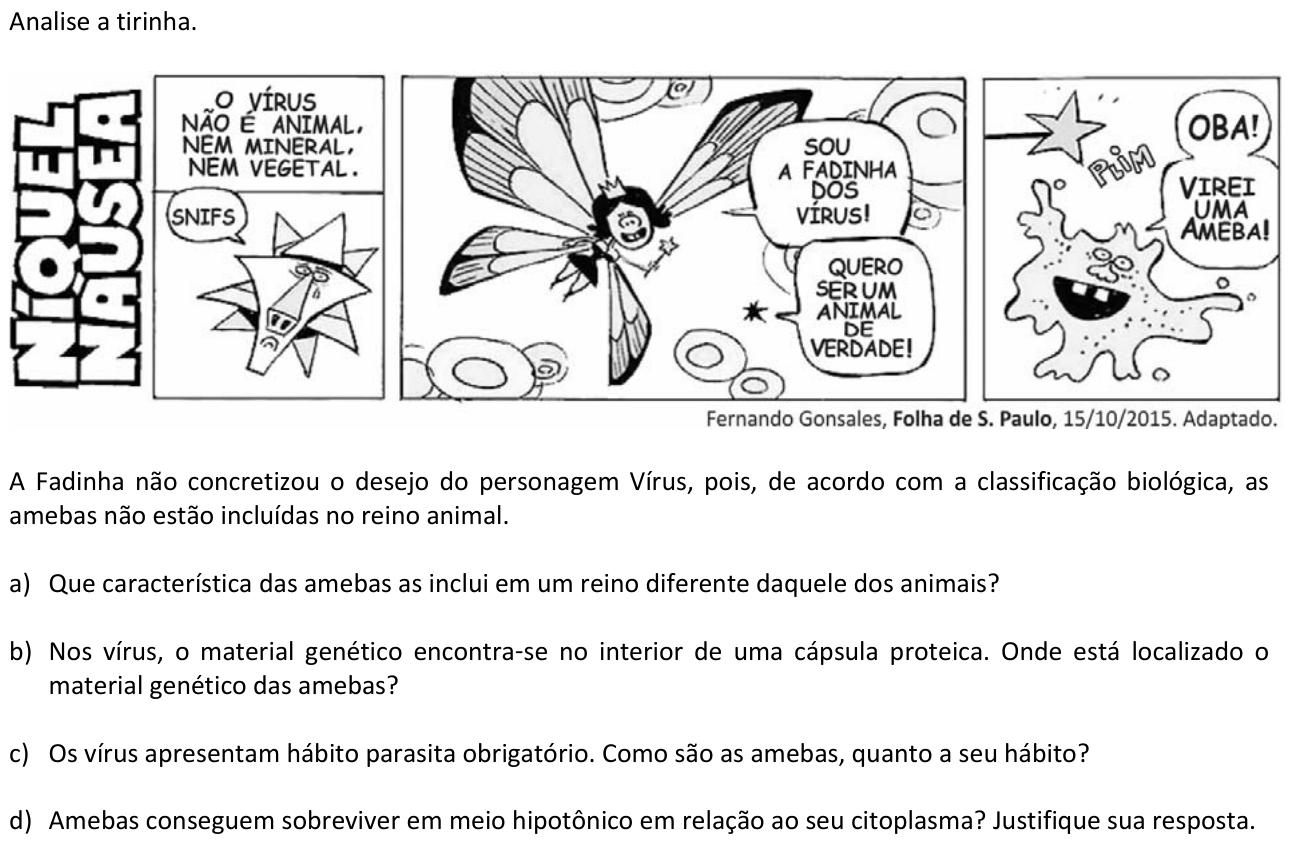 Questão B05 no caderno  da 2ª fase da FUVEST 2016
