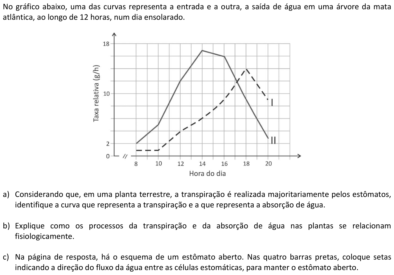 Questão B06 no caderno  da 2ª fase da FUVEST 2016