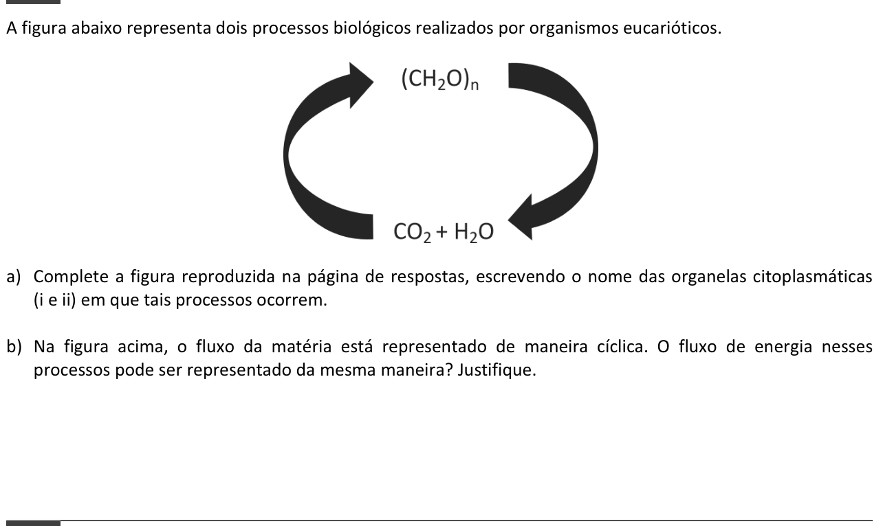 Questão 15 no caderno  da 2ª fase da FUVEST 2015