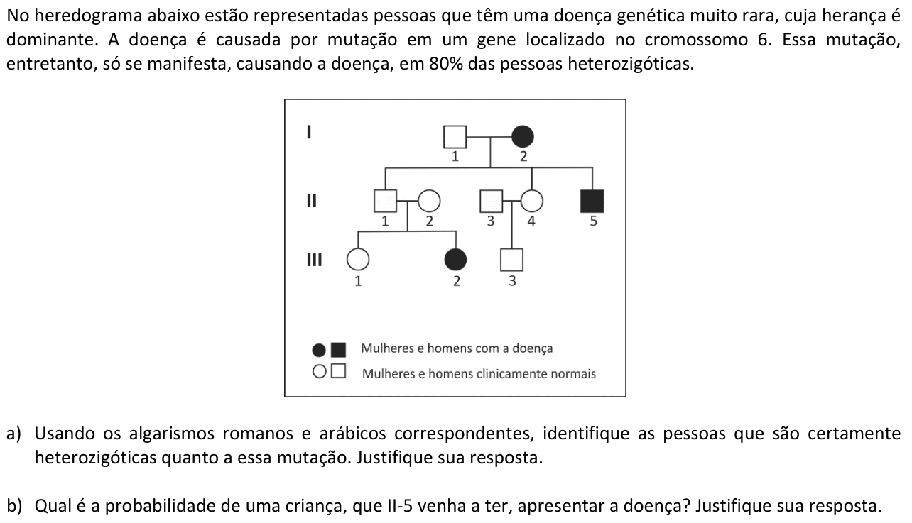 Questão B01 no caderno  da 2ª fase da FUVEST 2015