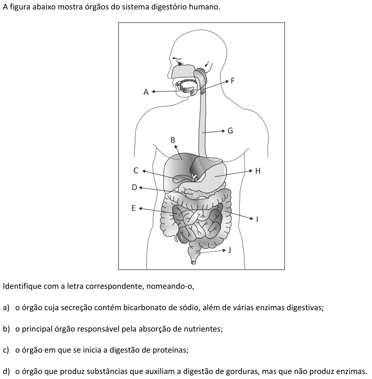 Questão B04 no caderno  da 2ª fase da FUVEST 2015